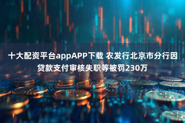 十大配资平台appAPP下载 农发行北京市分行因贷款支付审核失职等被罚230万