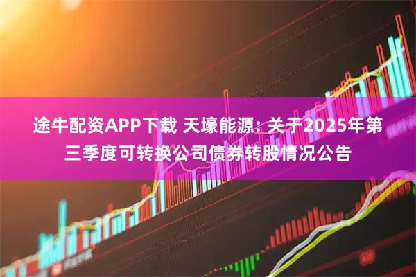 途牛配资APP下载 天壕能源: 关于2025年第三季度可转换公司债券转股情况公告