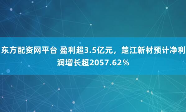 东方配资网平台 盈利超3.5亿元，楚江新材预计净利润增长超2057.62％