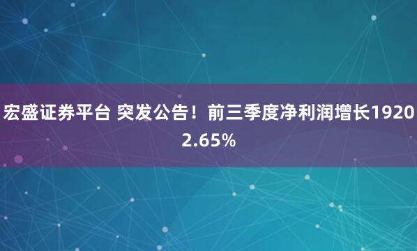 宏盛证券平台 突发公告！前三季度净利润增长19202.65%