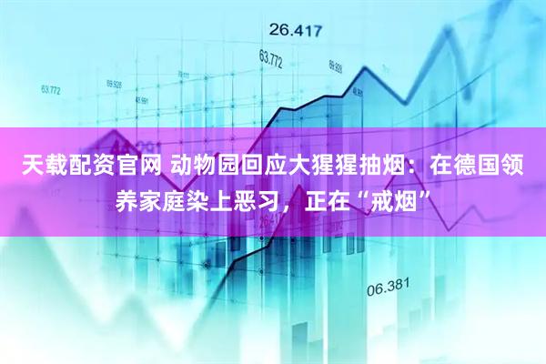 天载配资官网 动物园回应大猩猩抽烟：在德国领养家庭染上恶习，正在“戒烟”